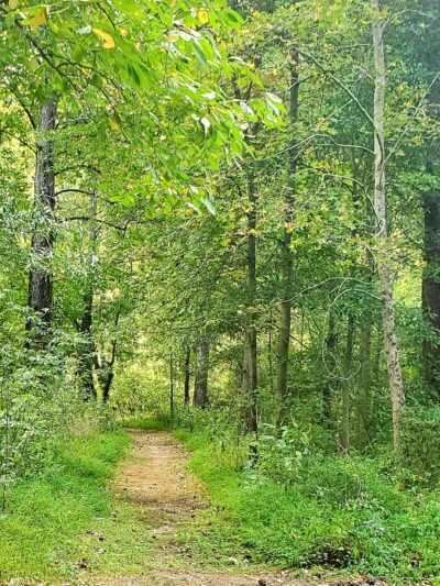 Friendship Park - Clarkston, GA