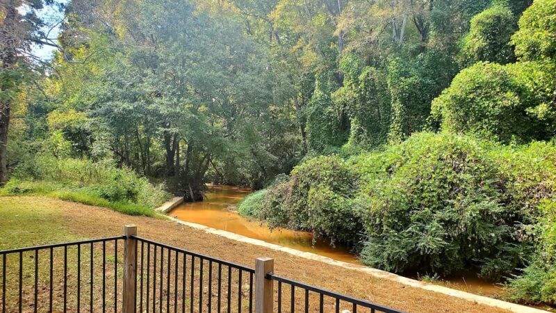 Friendship Park - Clarkston, GA