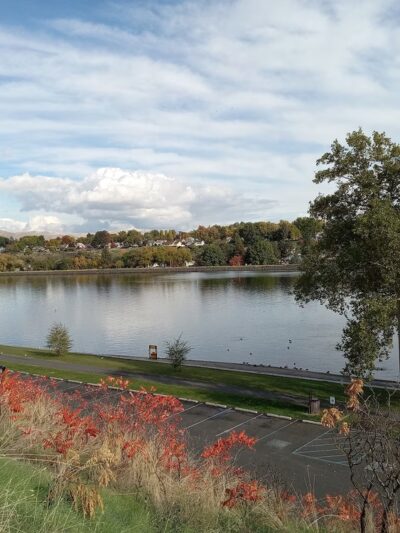 Chestnut Park - Clarkston, WA