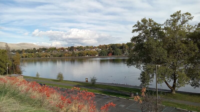 Chestnut Park - Clarkston, WA