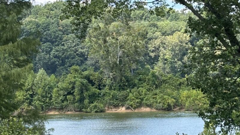 Liberty Park - Clarksville, TN