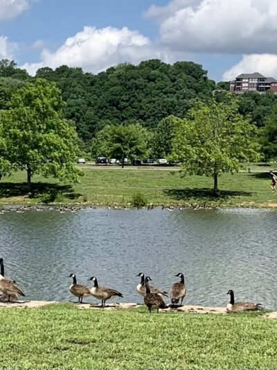 Liberty Park Playground and Pavilion Parking - Clarksville, TN