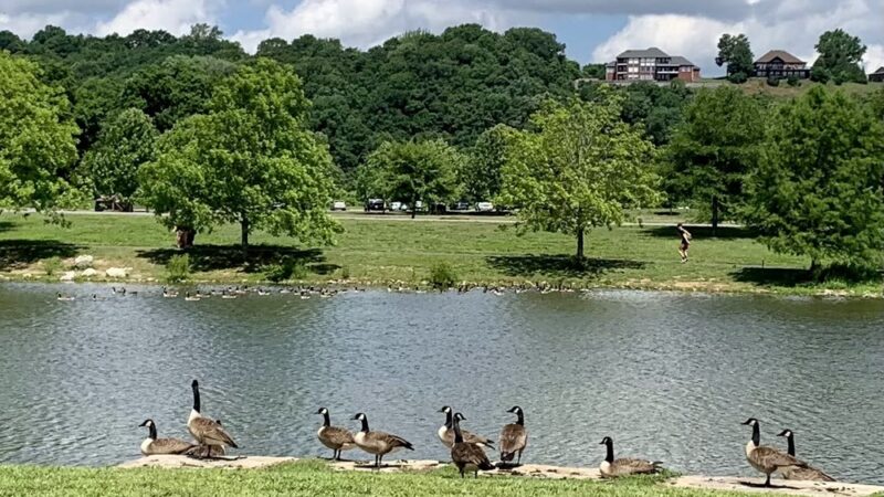 Liberty Park Playground and Pavilion Parking - Clarksville, TN