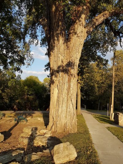 Clay Center Parks Department - Clay Center, KS