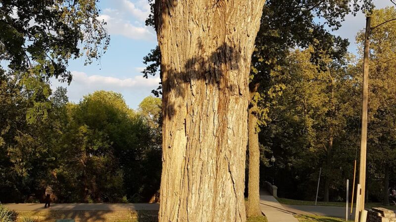 Clay Center Parks Department - Clay Center, KS
