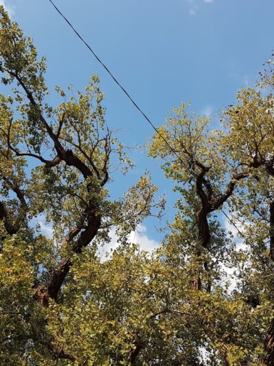 Clay Center Parks Department - Clay Center, KS