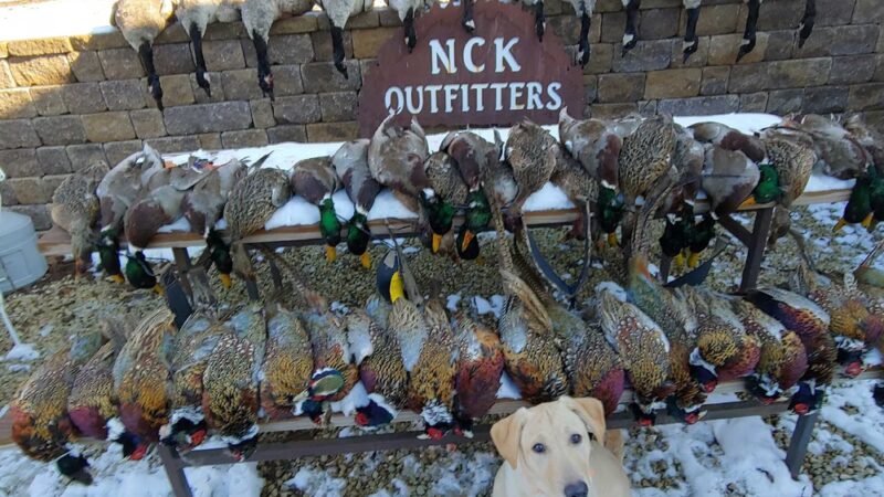 NCK Outfitters - Clay Center, KS