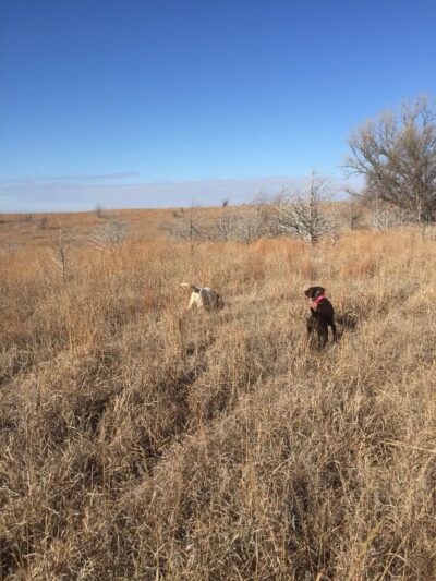 NCK Outfitters - Clay Center, KS