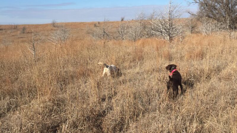 NCK Outfitters - Clay Center, KS
