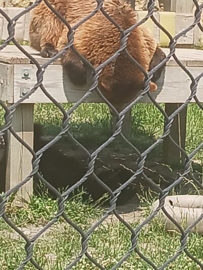 Clay Center Utility Walking Trail - Clay Center, KS