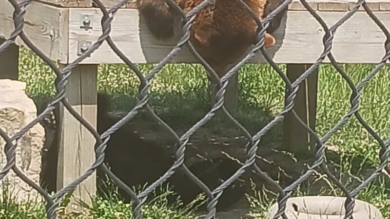 Clay Center Utility Walking Trail - Clay Center, KS