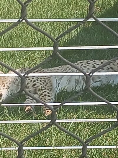 Clay Center Utility Walking Trail - Clay Center, KS