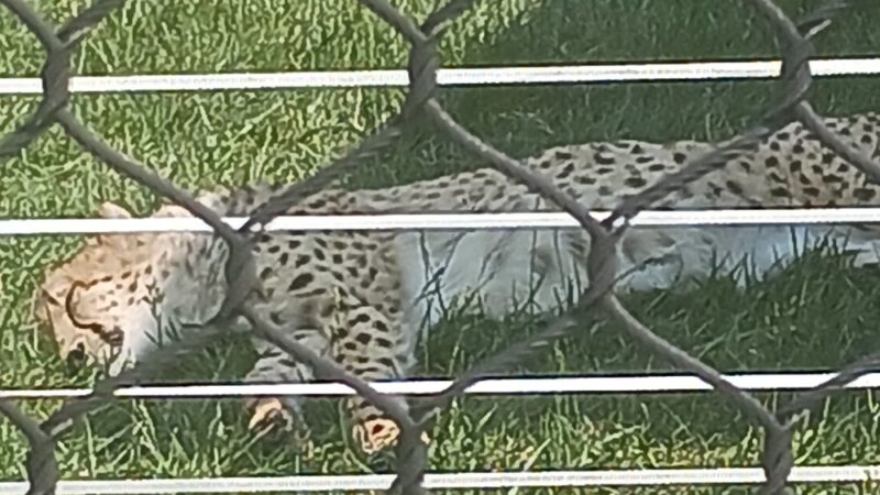 Clay Center Utility Walking Trail - Clay Center, KS