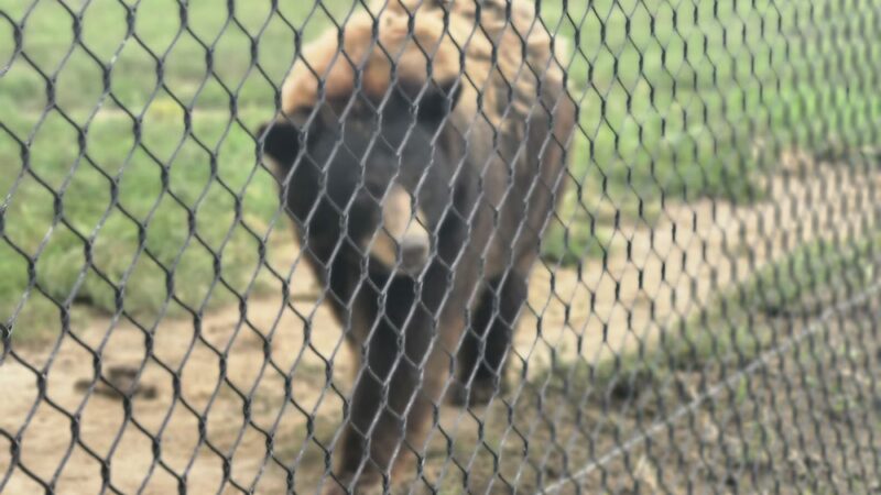 Utility Park & Zoo - Clay Center, KS