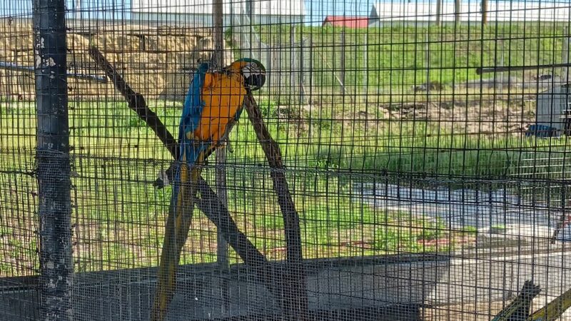 Utility Park & Zoo - Clay Center, KS
