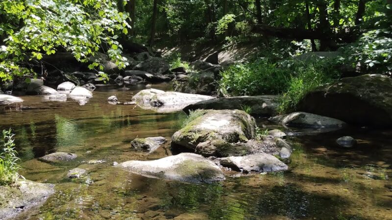 Radnor Green Park - Claymont, DE
