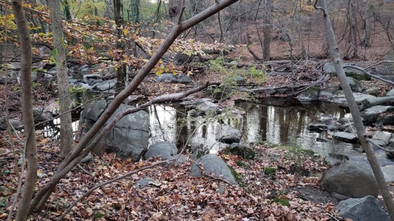 Radnor Green Park - Claymont, DE