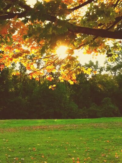 Woods Haven Kruse Park - Claymont, DE