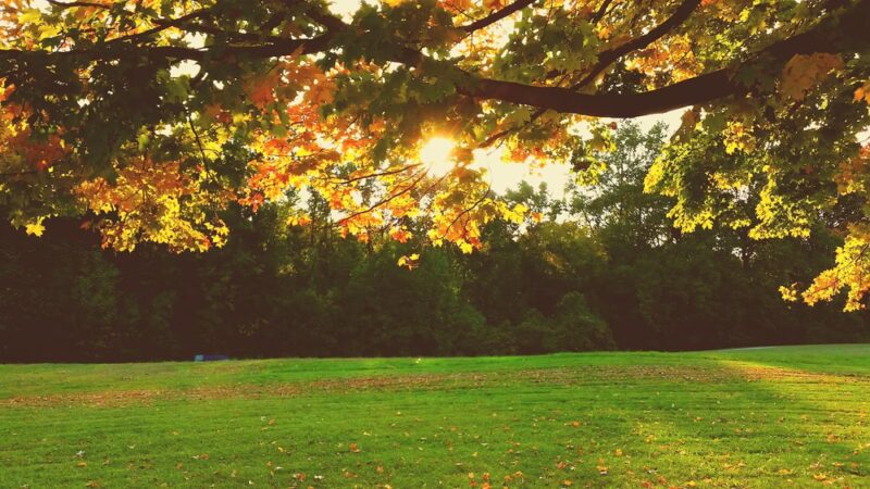 Woods Haven Kruse Park - Claymont, DE