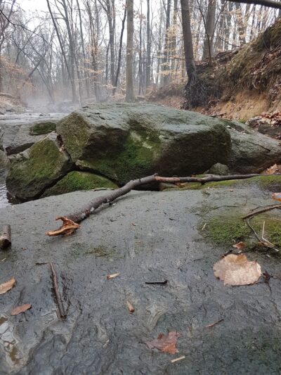 Woods Haven Kruse Park - Claymont, DE