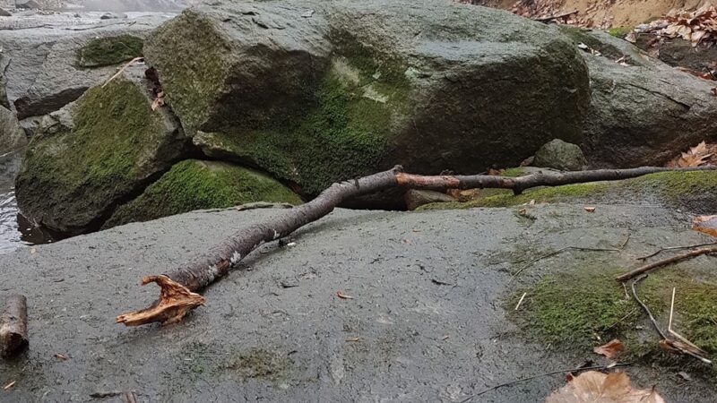 Woods Haven Kruse Park - Claymont, DE