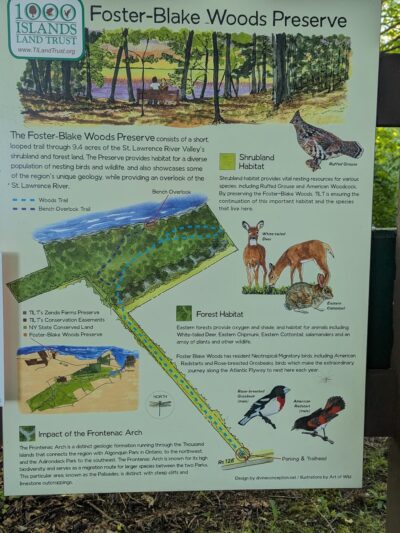 Foster-Blake Woods Preserve - Clayton, NY