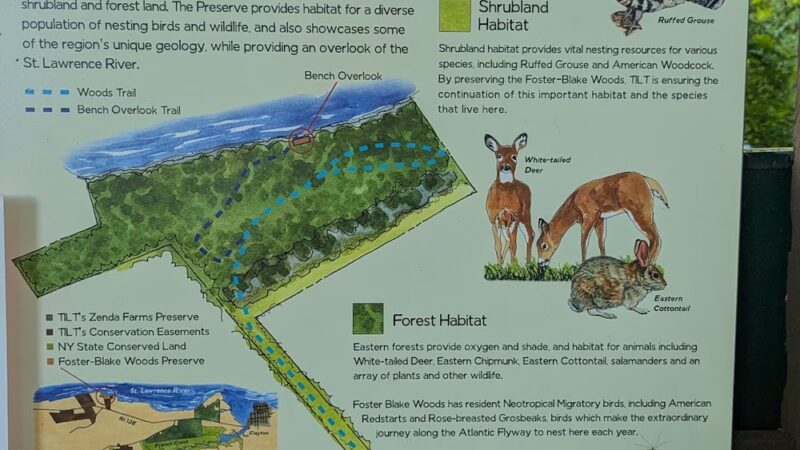 Foster-Blake Woods Preserve - Clayton, NY