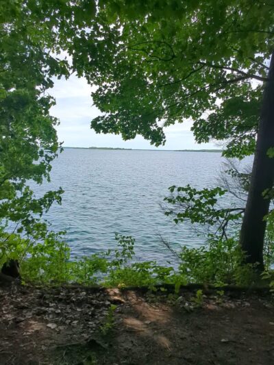 Foster-Blake Woods Preserve - Clayton, NY