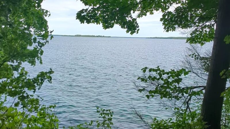 Foster-Blake Woods Preserve - Clayton, NY