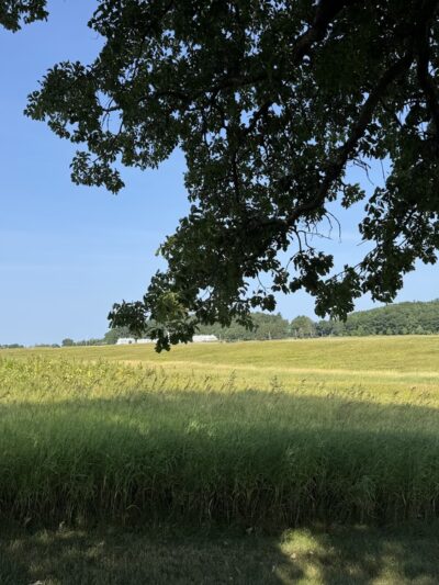 Zenda Farms Preserve - Clayton, NY