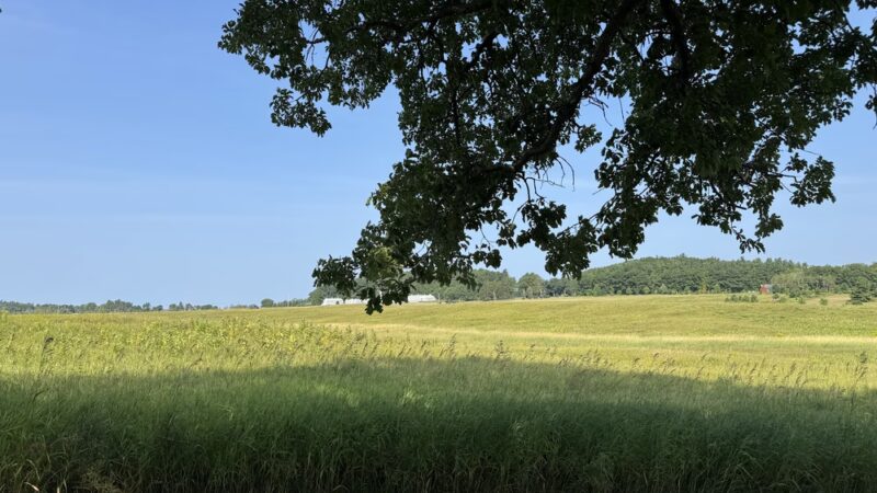 Zenda Farms Preserve - Clayton, NY