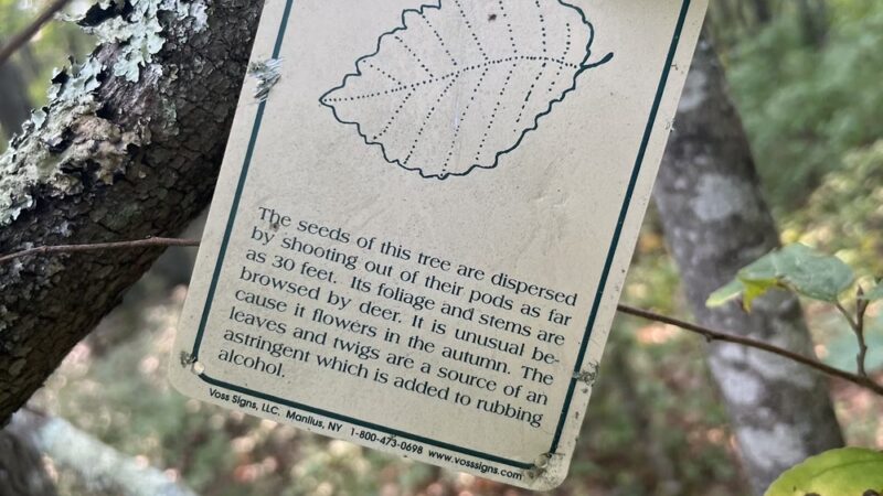 Westconnaug Meadows - Clayville, RI