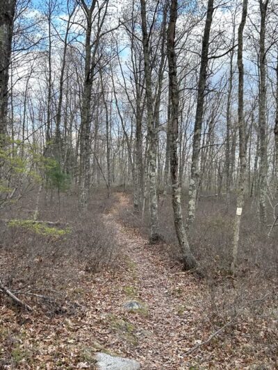 Westconnaug Meadows - Clayville, RI
