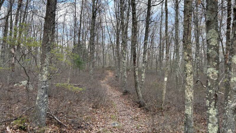Westconnaug Meadows - Clayville, RI