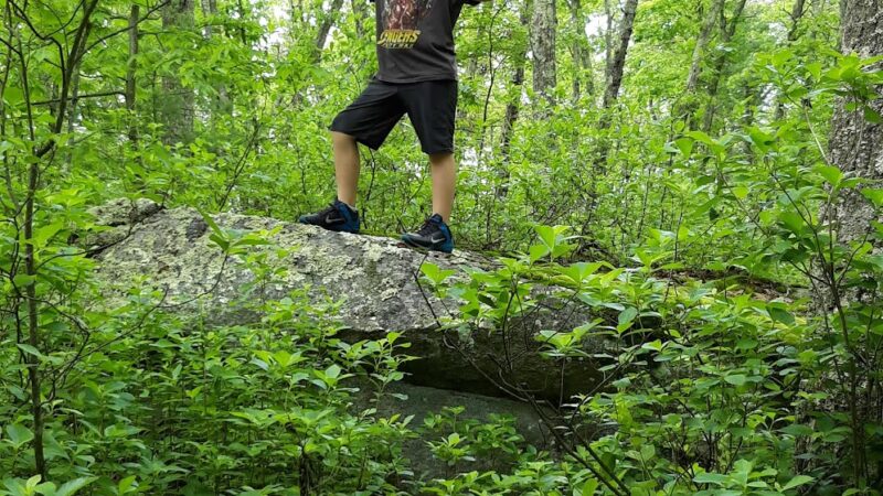 Westconnaug Meadows - Clayville, RI