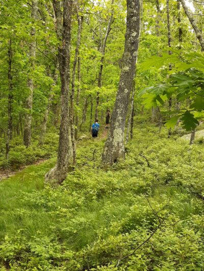 Westconnaug Meadows - Clayville, RI