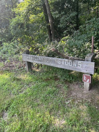 Westconnaug Meadows - Clayville, RI