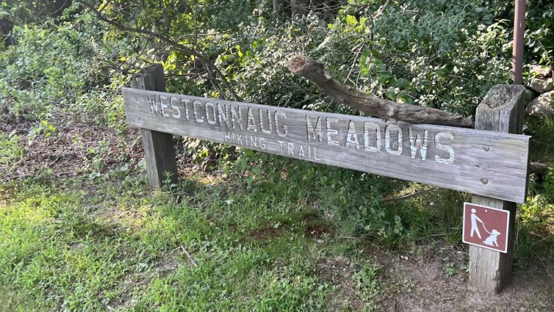 Westconnaug Meadows - Clayville, RI