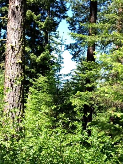 Battista Park - Suncadia - Cle Elum, WA