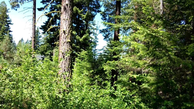 Battista Park - Suncadia - Cle Elum, WA