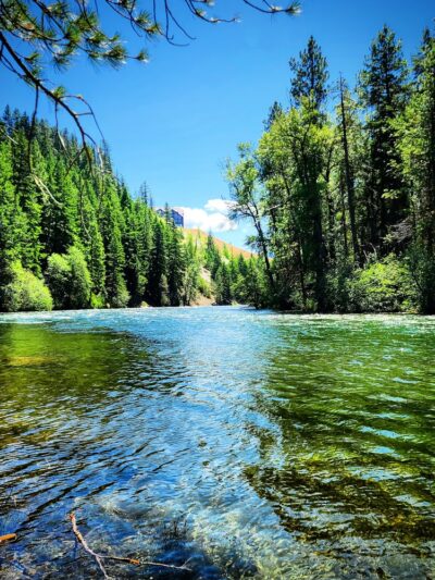 Fish Shed - Cle Elum, WA