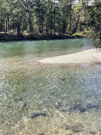 Fish Shed - Cle Elum, WA