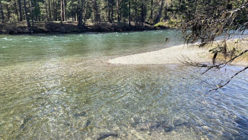 Fish Shed - Cle Elum, WA