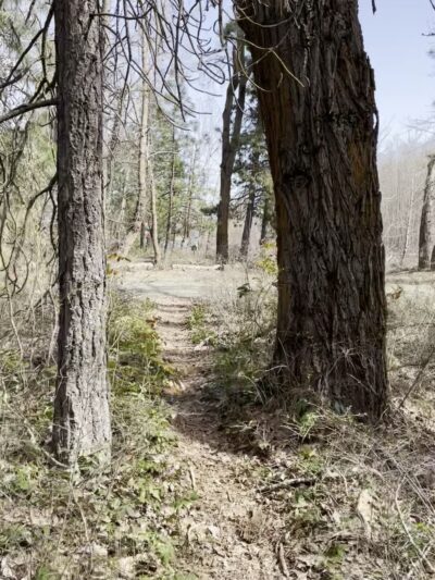 Hanson Ponds Park - Cle Elum, WA