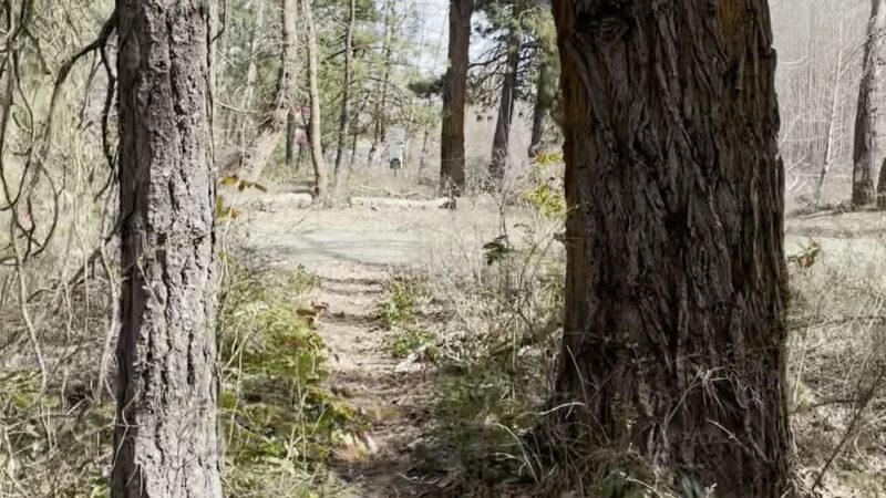 Hanson Ponds Park - Cle Elum, WA