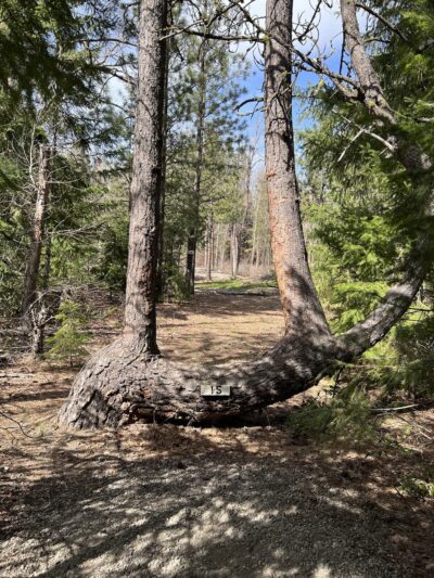 Hanson Ponds Park - Cle Elum, WA