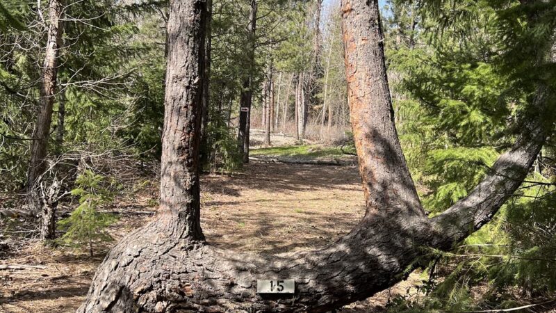 Hanson Ponds Park - Cle Elum, WA
