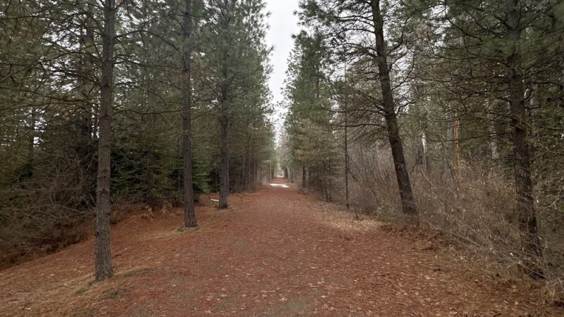 Howard Carlin Memorial Trailhead Park - Cle Elum, WA