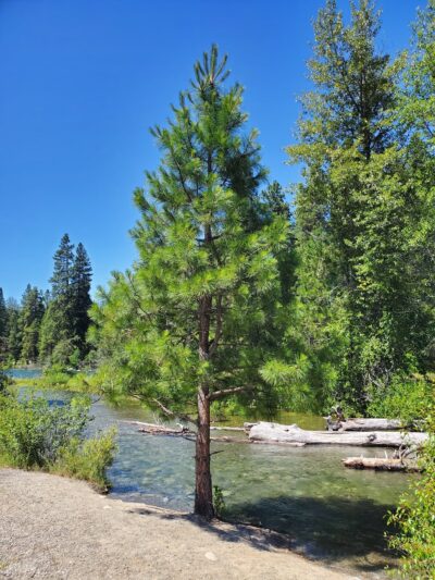 Riverfront Park - Cle Elum, WA