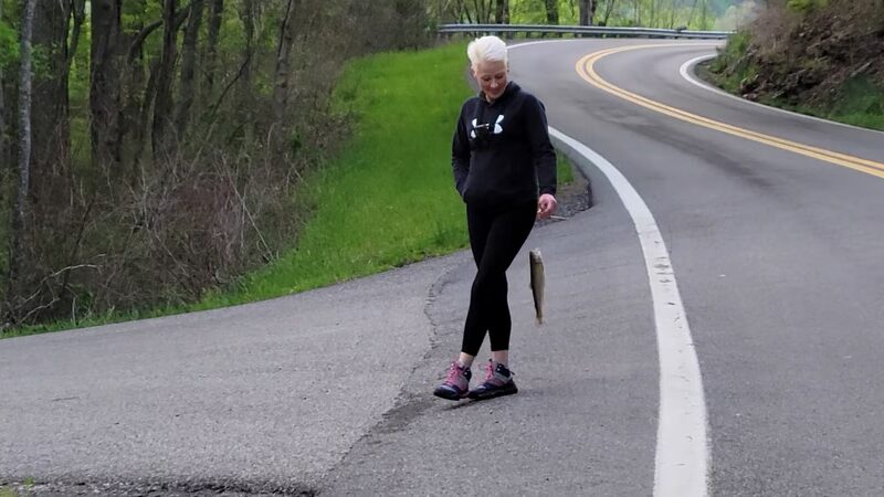 Clear Fork - Clear Fork, WV